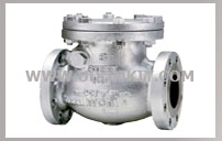 KITZ CHECK VALVE CAST CARBON