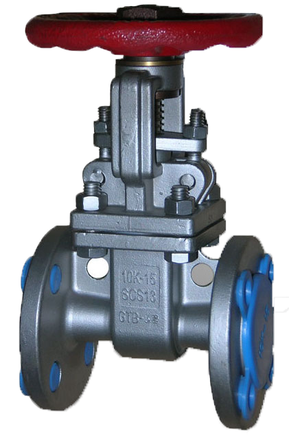 Globe valve pp