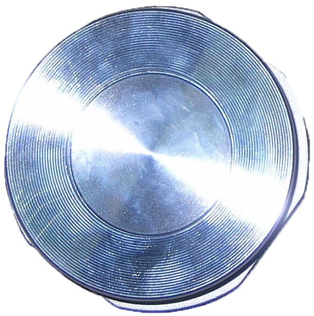 WAFER CHECK valve pp