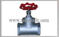 Globe Valve PP 200B
