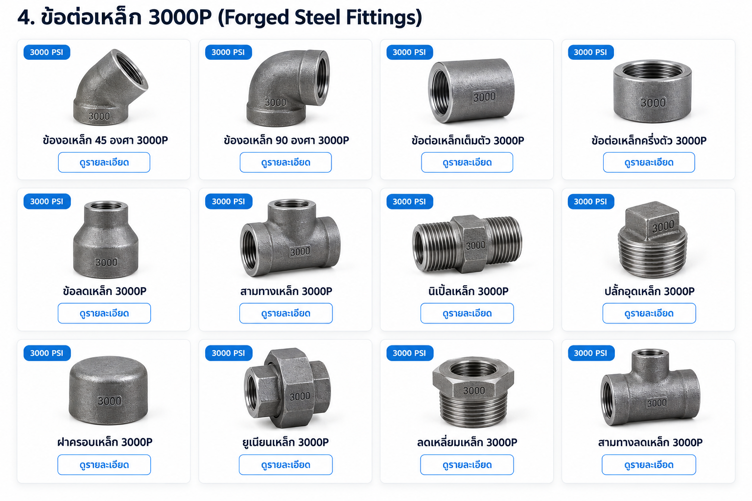 ข้อต่อเหล็ก 3000P Forged Steel Fittings