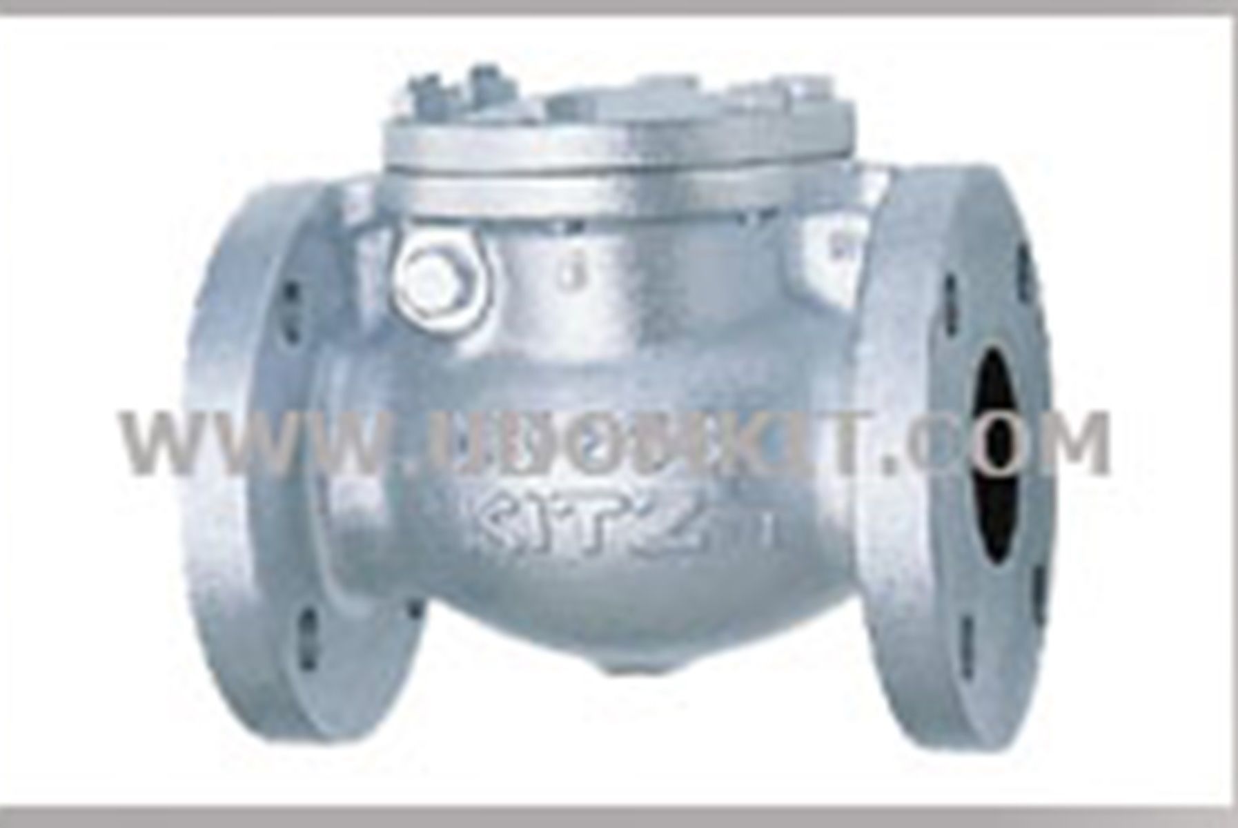 สเปคเช็คาล์วเหล็กหล่อคิทซ์ (คิตาซาว่า)
Spect Check Valve Cast Iron KITZ (Kitazawa)